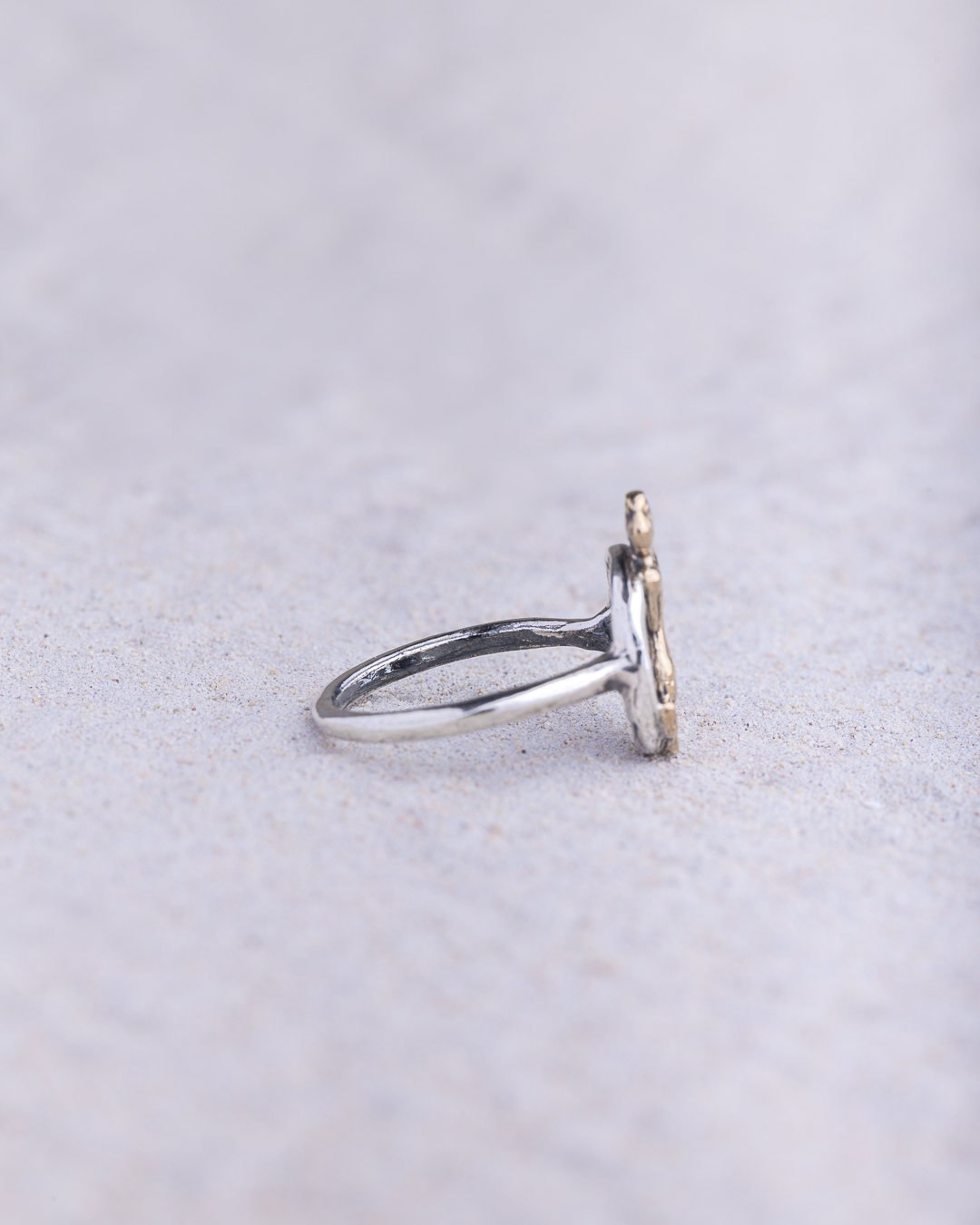 Anello FiloEco Partenope bicolor